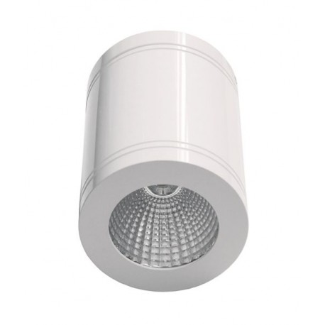 LED Surface Mount Down Light IP65 13W 3K White Gloss