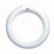T9 22W Circular Fluorescent Day Light
