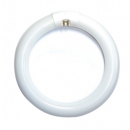 T9 22W Circular Fluorescent Day Light